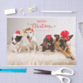 サンタハットで楽しいクリスマス犬 薄葉紙 (クラフト)