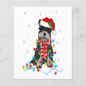 サンタハットとカワイトなシュナウザーのクリスマスライト チラシ (正面)