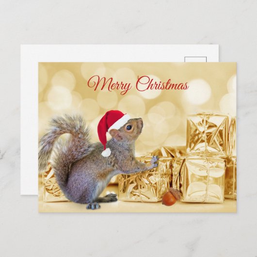 サンタハットとギフトのメリークリスマスリス シーズンポストカード (正面/裏面)