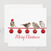 サンタハットとクリスマスを楽しめるかわいい鳥 (正面/裏面)