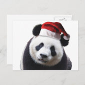 サンタハットとクリスマスパンダ シーズンポストカード (正面/裏面)