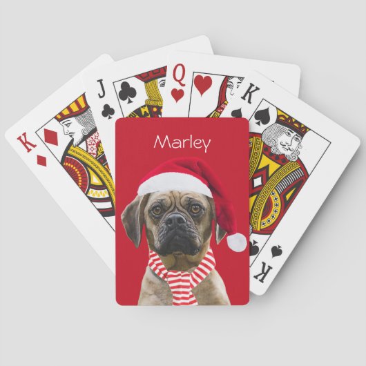 サンタハットとスカーフとフォトクリスマスドッグ トランプ (裏面)