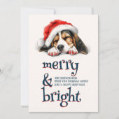 サンタハットとブライトメリーが可愛い犬 シーズンカード (正面)