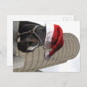 サンタハットとメリークリスマスホース シーズンポストカード (正面/裏面)