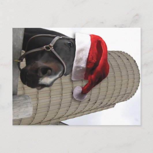 サンタハットとメリークリスマスホース シーズンポストカード (正面)
