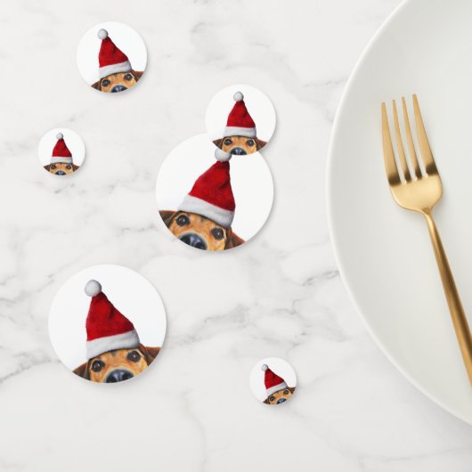 サンタハットと奇妙なかわいいおもしろい犬 コンフェッティ (グループ)
