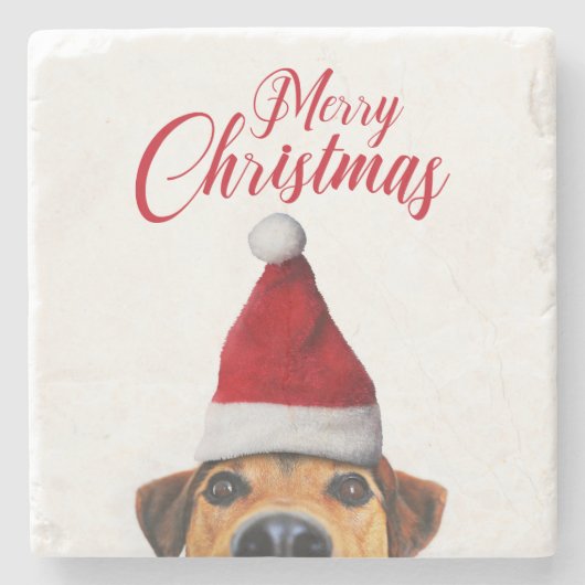 サンタハットと奇妙なかわいいおもしろい犬 ストーンコースター (正面)