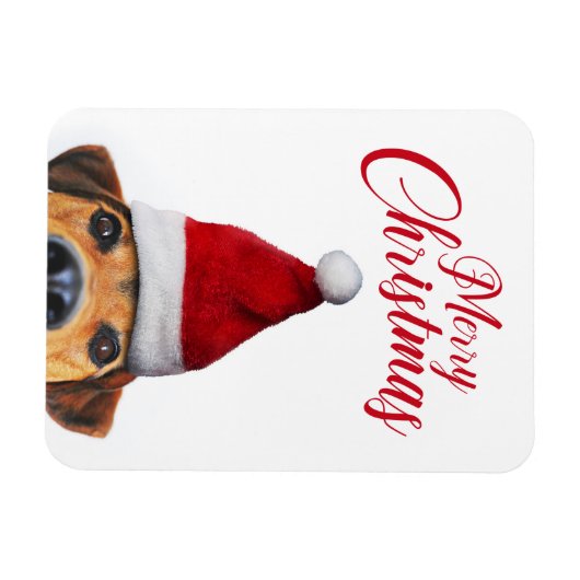 サンタハットと奇妙なかわいいおもしろい犬 マグネット (横)