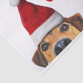 サンタハットと奇妙なかわいいおもしろい犬 薄葉紙 (詳細)