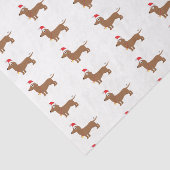 サンタハットにダシュント 薄葉紙 (詳細)