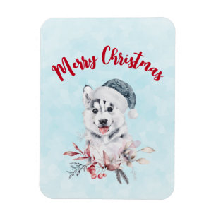 サンタハットに住むクリスマスハスキー犬 マグネット