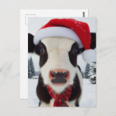 サンタハットに愛らしい乳牛 ポストカード (正面/裏面)
