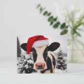 サンタハットに愛らしい乳牛 ポストカード (スタンド正面)