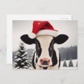 サンタハットに愛らしい乳牛 ポストカード (正面/裏面)