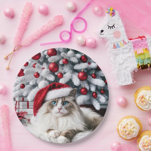 サンタハットに登場するクリスマスのラグドール猫 ペーパープレート (パーティー)