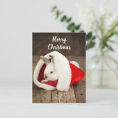 サンタハットに登場するメリークリスマスかわいいバニー ポストカード (スタンド正面)