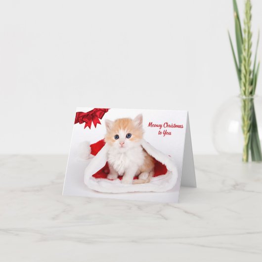 サンタハットに登場する可愛い猫にクリスマスをお祈り カード (正面)