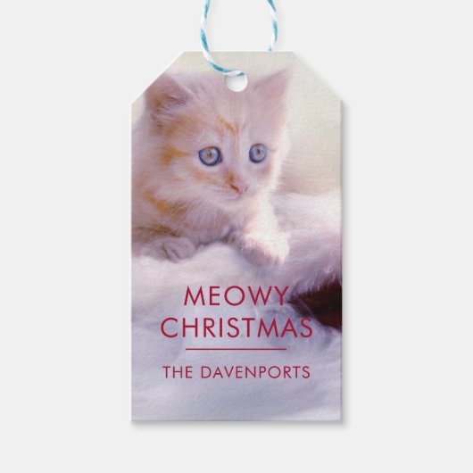 サンタハットに眠るクリスマスに休むかわいい子猫 ギフトタグ (正面)
