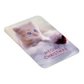 サンタハットに眠るクリスマスに休むかわいい子猫 マグネット (右側)