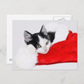 サンタハットのかわいい子猫 ポストカード (正面/裏面)