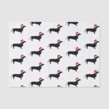 サンタハットのクリスマスにダシュント