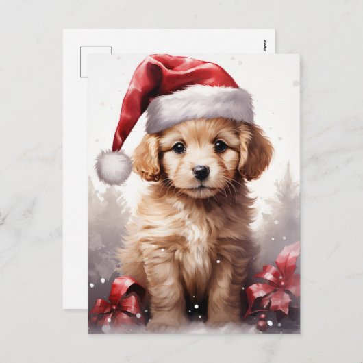 サンタハットのクリスマスに、かわいいフワフワの子犬 シーズンポストカード (正面/裏面)