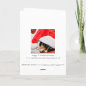 サンタハットのクリスマスカードで眠っている犬 シーズンカード (裏面)