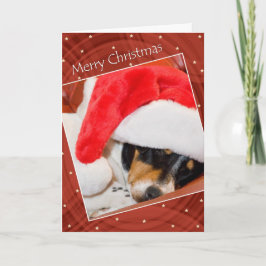 サンタハットのクリスマスカードで眠っている犬 シーズンカード