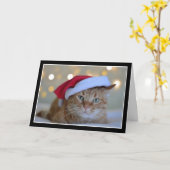 サンタハットのクリスマスカードをかぶったかわいい猫 カード (黄色い花)