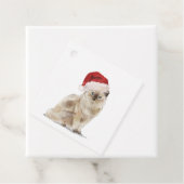 サンタハットのクリスマスギフトタグのかわいい猫 フェイバータグ (インサイチュ)