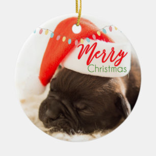 サンタハットのクリスマスパグとフェスティバル灯 セラミックオーナメント