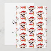サンタハットのクリスマスパターンでチワホアパピー シーズンカード (正面/裏面)