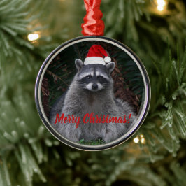 サンタハットのクリスマスラクーン写真 メタルオーナメント
