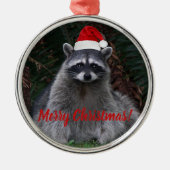 サンタハットのクリスマスラクーン写真 メタルオーナメント (正面)