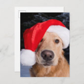 サンタハットのゴールデン·レトリーバー シーズンポストカード (正面/裏面)