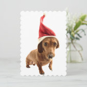 サンタハットのダシュント シーズンカード (スタンド正面)