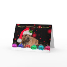 サンタハットのナナ&グラ縁どンダ・テリア