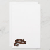 サンタハットのラトルズナケ (正面/裏面)