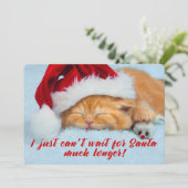 サンタハットの両面カードで眠る子猫 シーズンカード (スタンド正面)