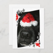 サンタハットの写真と黒い犬の鼻 シーズンカード (正面/裏面)