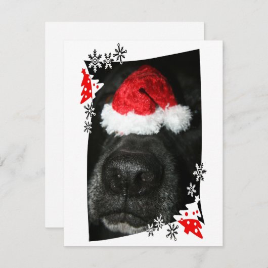 サンタハットの写真と黒い犬の鼻 シーズンカード (正面/裏面)