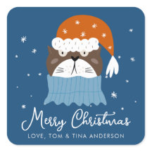 サンタハットの可愛いクリスマスキャット雪の青