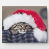 サンタハットの可愛い猫 フォトプラーク (正面)