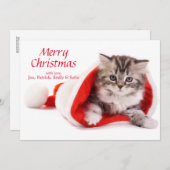 サンタハットの子猫 シーズンカード (正面/裏面)