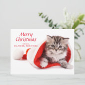 サンタハットの子猫 シーズンカード (スタンド正面)