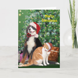 サンタハットの猫と犬 シーズンカード