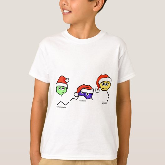 サンタハットの神経伝達物質 Tシャツ (正面)