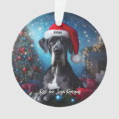 サンタハットの美しいグレートダン オーナメント (正面)