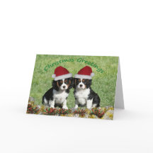 サンタハットの騎士