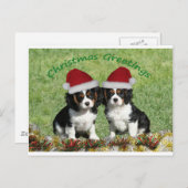 サンタハットの騎士 シーズンポストカード (正面/裏面)